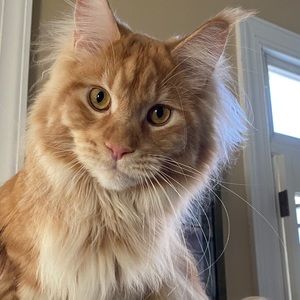 Meet your Posher, Kathy